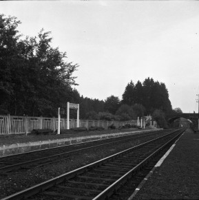 Les Epioux BD-7399.jpg